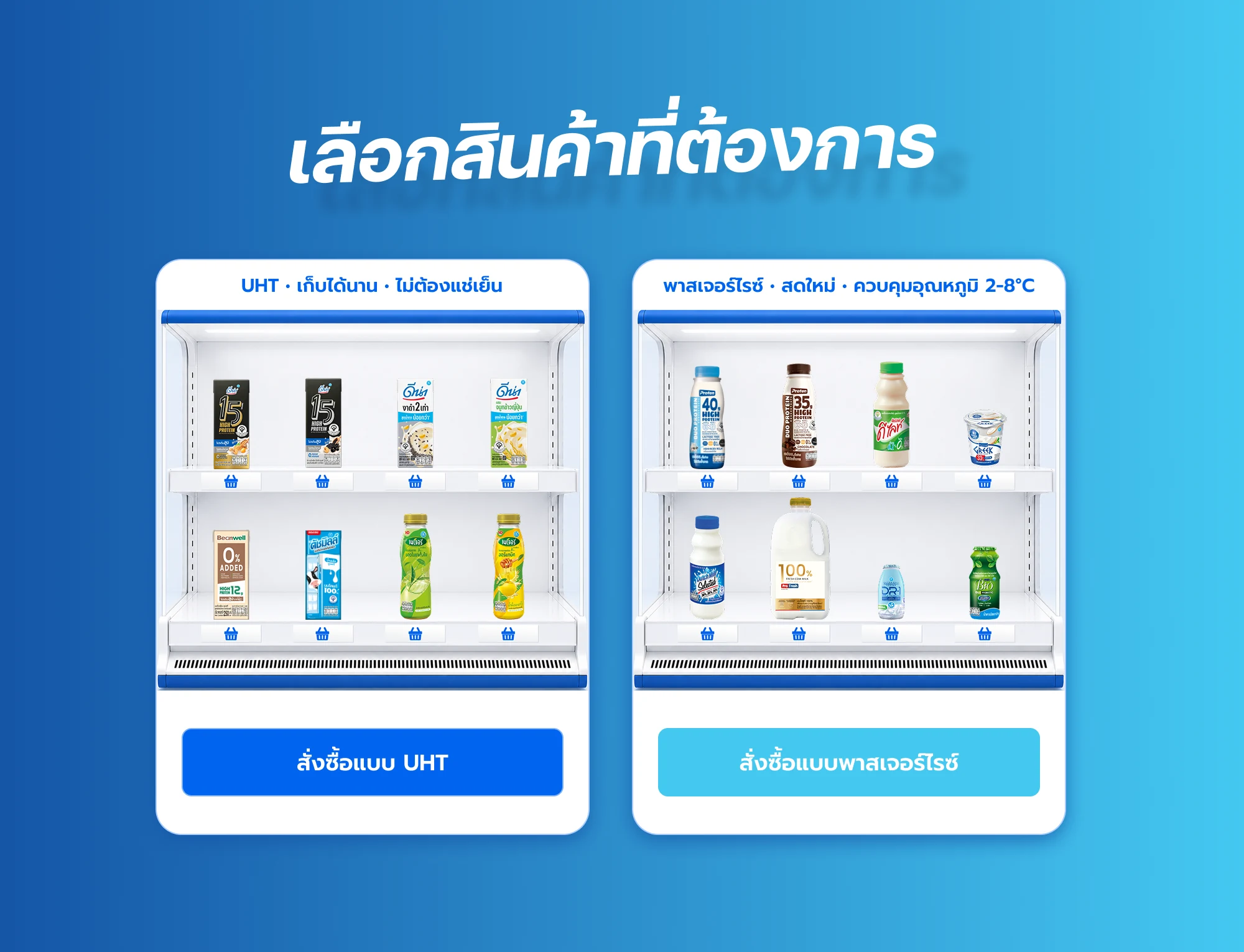 เลือกผลิตภัณฑ์ Dutch Mill จากชั้นวางเสมือนจริง